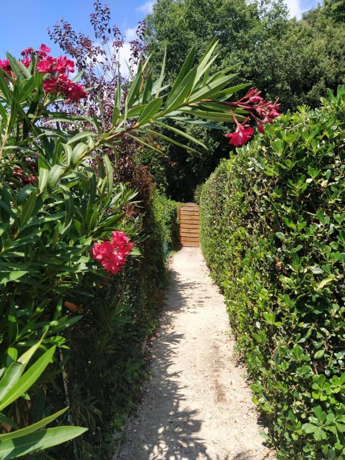 Studio French Riviera Villeneuve-Loubet Exterior photo